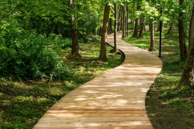 Ormanda ekolojik, ahşap yürüyüş yolu. Ekolojik rota