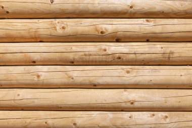 Modern, yeni, temiz, doğal renkten yuvarlak kütüklerden yapılmış kütük duvarı. Arkaplan resmi, doku