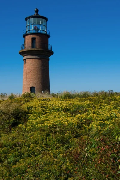 Aquinnah Light en tierras nativas americanas en Martha 's Vineyard en Massachusetts — Foto de Stock