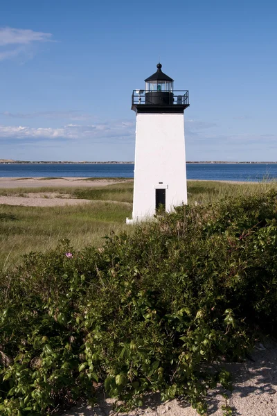 Tour de phare carré à l'extrémité de Cape Cod — Photo