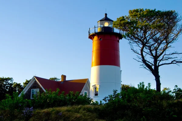 Cape Cod deniz feneri eksik fener — Stok fotoğraf