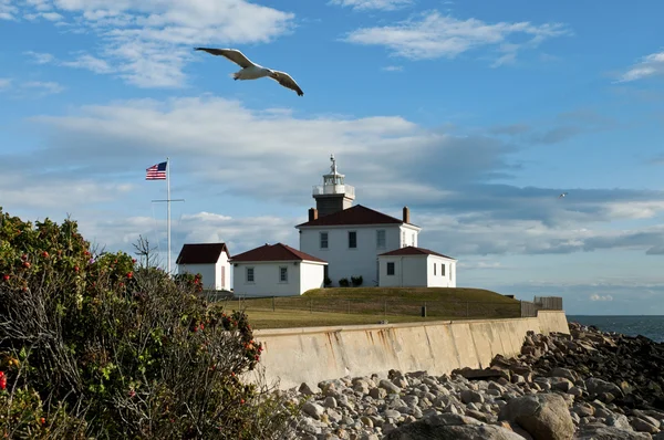 Seagull Flies Over Seawall Along Watch Hill Lighthouse in Rhode Island