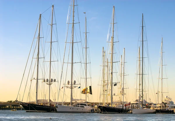 Tall Sailing Vessels in Newport as Sun Sets — Stockfoto