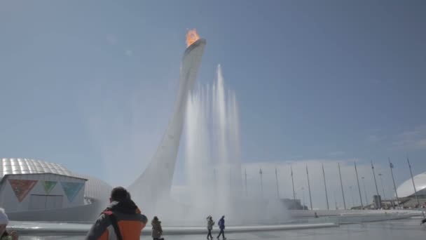 Олімпійський факел в світі Xxii зимових Олімпійських ігор — стокове відео