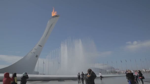 世界冬オリンピック Xxii でオリンピックの聖火付近の噴水 — ストック動画