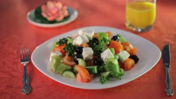 Aceite de oliva vertiendo sobre ensalada mixta en el plato blanco — Vídeo de stock