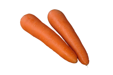 Beyaz arka planda izole edilmiş bir çift taze havuç.