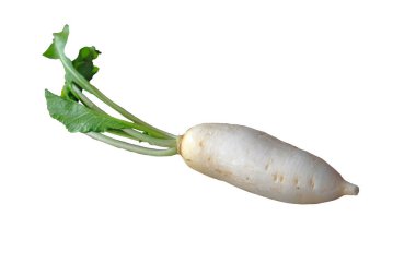 Daikon turpları kırpma yolu ile beyaz arkaplanda izole edildi