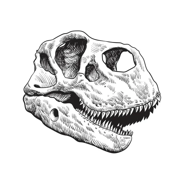 Beyaz arkaplanda dinozor kafatası vektörü çizimi
