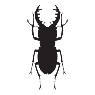 Geyik böceği silueti görüntüyü izole etti