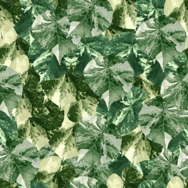 Waru veya Hibiscus tiliaceus Yaprakları Kusursuz Desensiz Şekil Çiçeksiz Doğa Görüntü Vektörü Resimleri