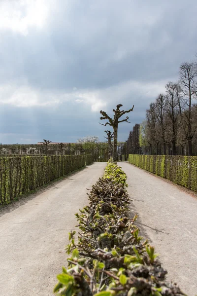 Park at the Eremitage, Old Palace in Bayreuth, Germany, 2015 — Stock Photo, Image