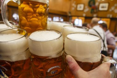 Münih, Almanya, 2015 Oktoberfest, Braeurosl