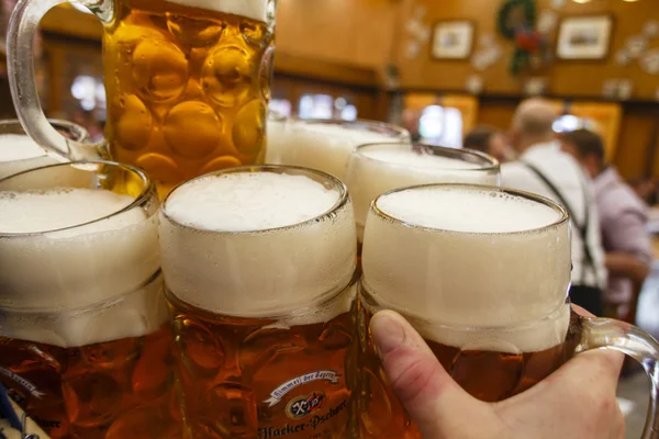 Münih, Almanya, 2015 Oktoberfest, Braeurosl