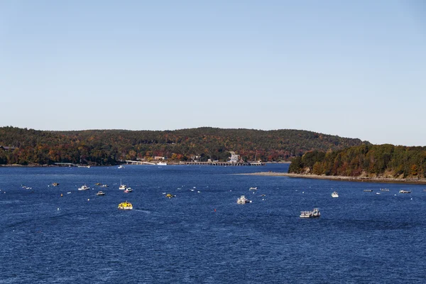 Parque Nacional Acadia en Bar Harbor, Estados Unidos, 2015 — Foto de Stock