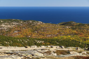 Acadia Milli Parkı Bar Harbor, ABD, 2015