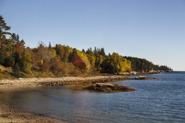 Acadia Milli Parkı Bar Harbor, ABD, 2015