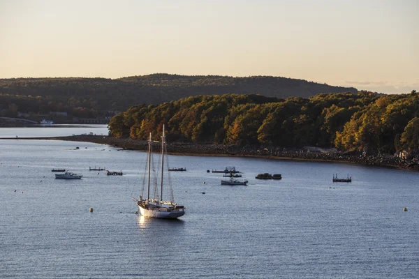 Isla en la Bahía de Bar Harbor, Estados Unidos, 2015 —  Fotos de Stock