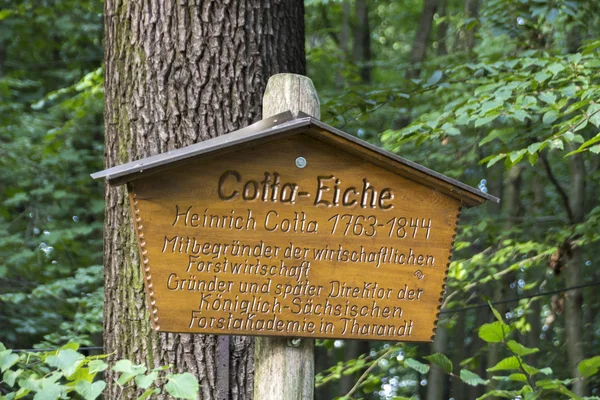 Sign in front of the Cotta-Eiche in Werdau, Germany, 2015 — Stock Photo, Image