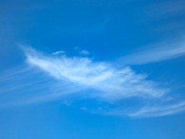 Büyük bir sirrus bulutu. Bulutlar tembelce akan pamuk iplikleri gibi berrak, berrak mavi bir arka planda. Gökyüzü huzur, huzur ve sessizlikten bahsediyor..