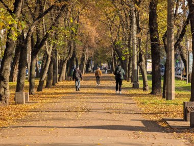 Şehrin güneşli bir gününde park yeri manzarası ılık yapraklar.