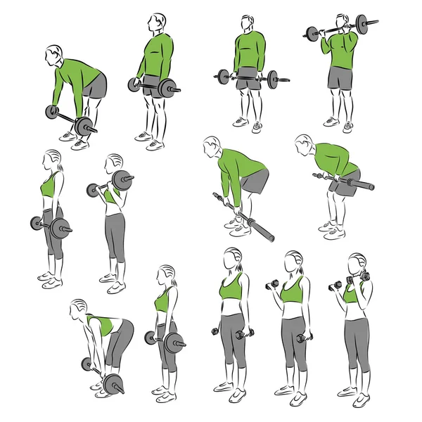 Ensemble d'exercices systématiques de musculation — Image vectorielle