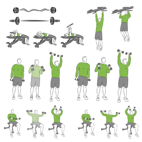 Ensemble d'exercices systématiques de musculation — Image vectorielle