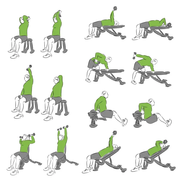 Sistematik vücut geliştirme egzersizleri kümesi