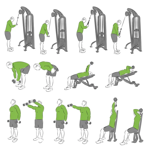 Set van systematische bodybuilding oefeningen — Stockvector