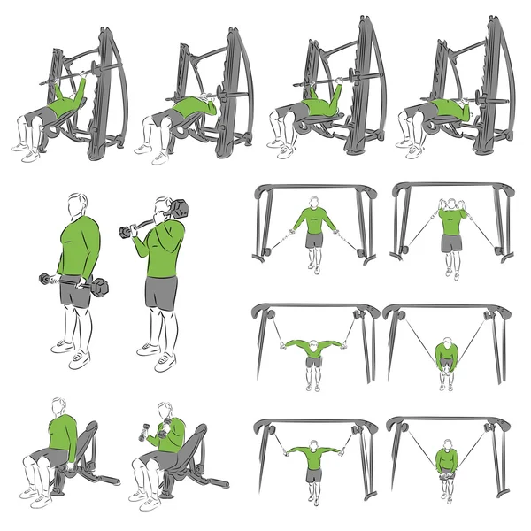 Set of systematic bodybuilding exercises — Stock Vector