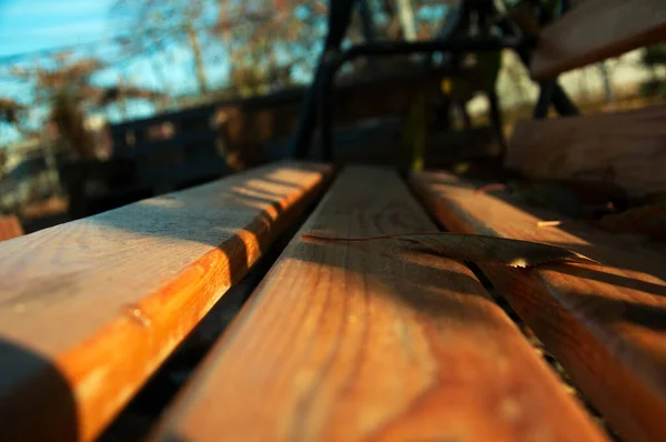 Осенний лист на скамейке — стоковое фото