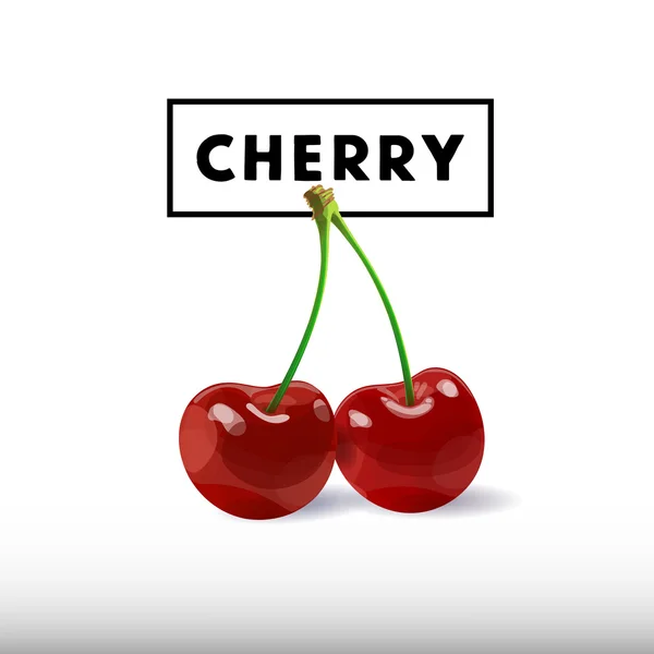 Cherry-berry vektoros illusztráció. — Stock Vector