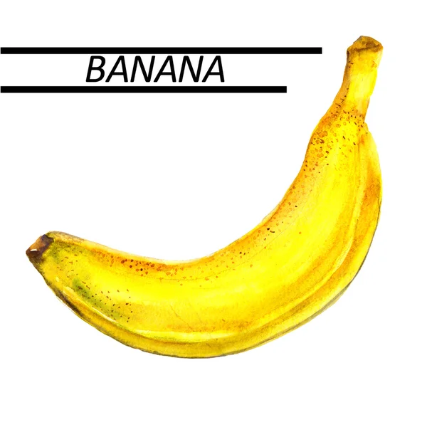 Banana akvarell. Hand dras akvarellmålning på vit bakgrund. — Stockfoto