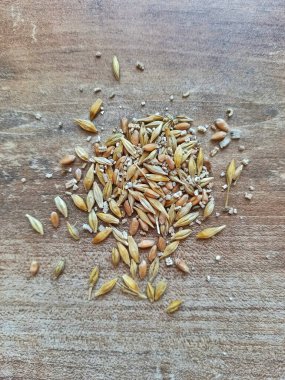 Bahar ekimi için tohumlar. Tohumlar masada