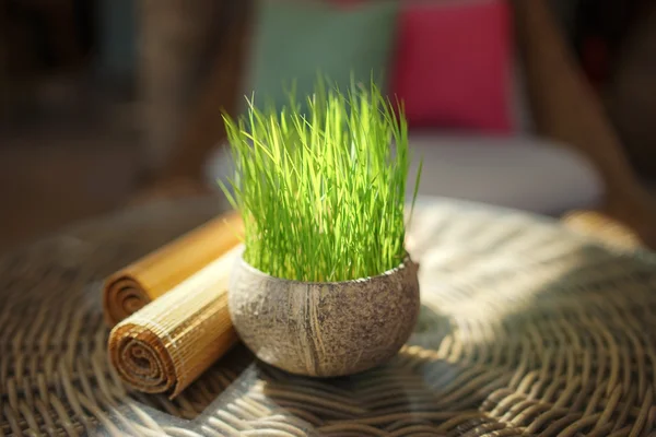 Citronnelle fraîche dans une casserole sur une table en rotin — Photo