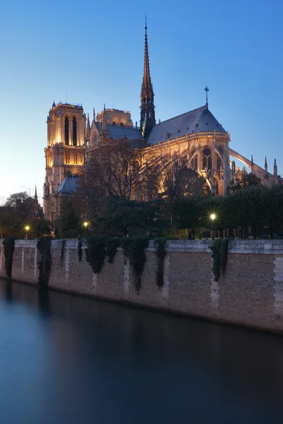 Notre Dame at dusk — Stock Photo, Image