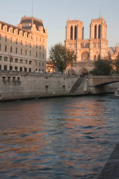 Notre dame de paris — Stock fotografie