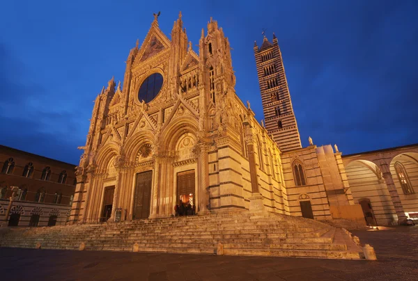 Catedral de Siena al atardecer — Foto de Stock