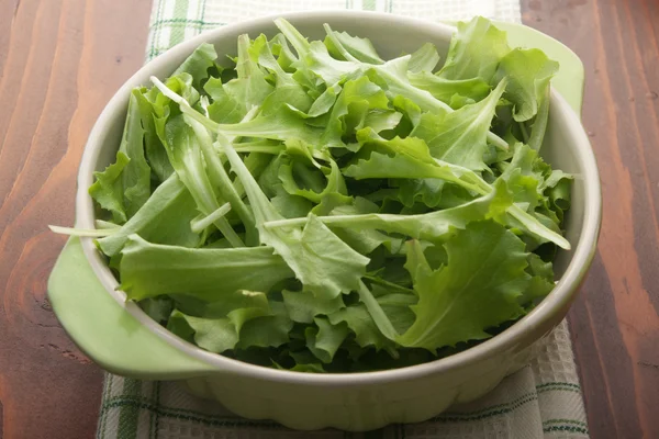 Insalata verde fresca — Foto Stock