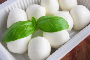 mozzarella ve fesleğen