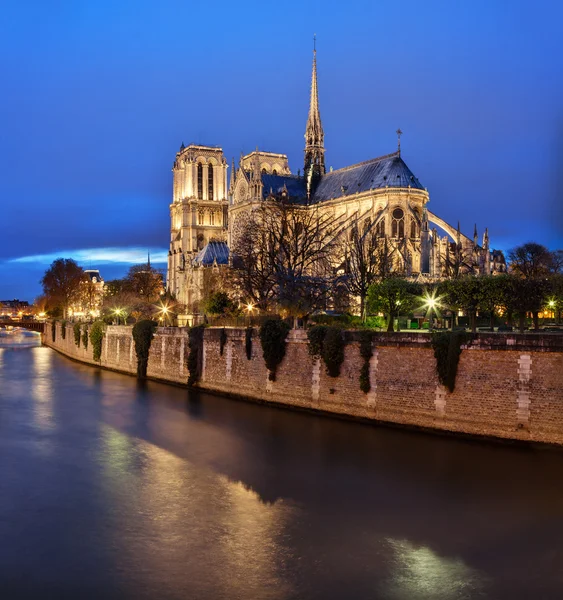 Παρίσι, Notre Dame τη νύχτα — Φωτογραφία Αρχείου
