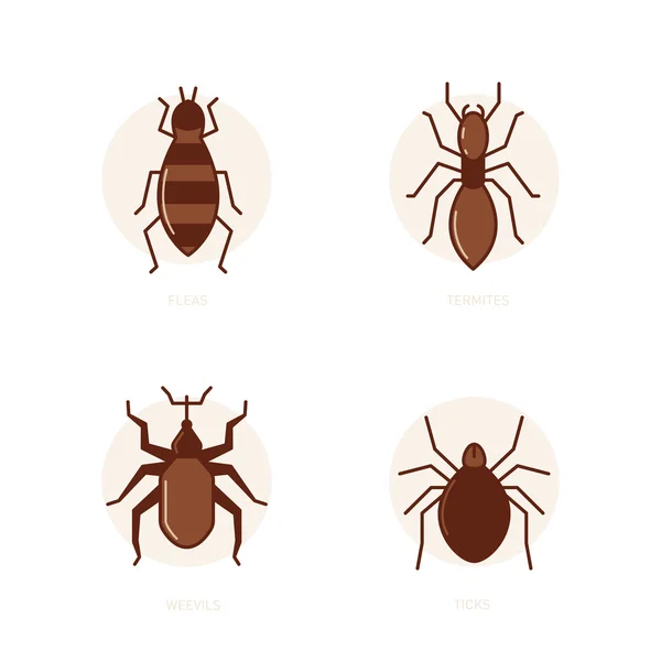 Flöhe, Termiten, Rüsselkäfer, Zecken — Stockvektor