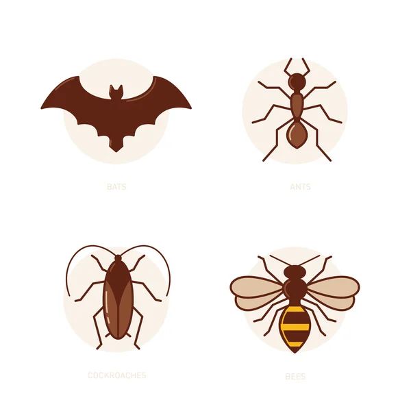 Fladdermöss, myror, kackerlacka, bee — Stock vektor