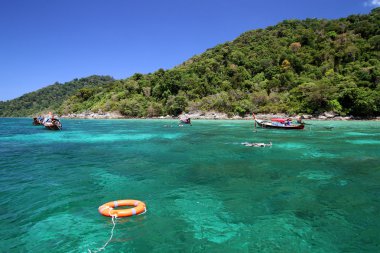 Lifebuoy yüzük ve seyahat etmek zevk almak açık suda snorkeling