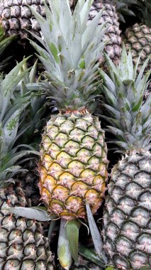 Piyasada taze ananas yığını