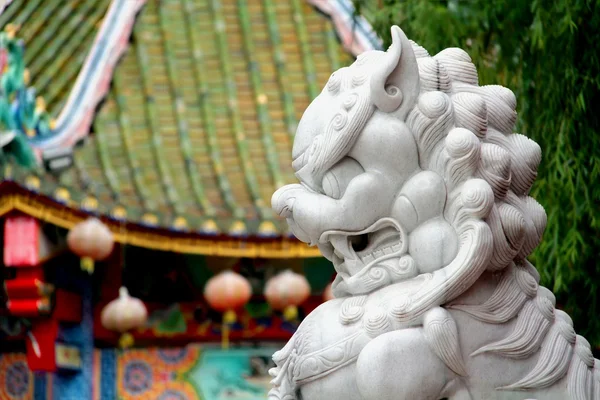 Белый китайский лев-хранитель на фоне китайского храма — стоковое фото