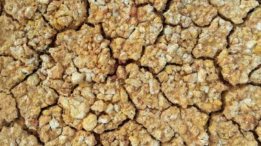 Kuru ve çatlamış zemin