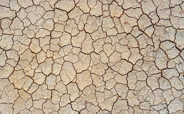 Dry and Cracked ground — Stock Photo, Image