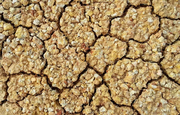 Solo seco e rachado — Fotografia de Stock