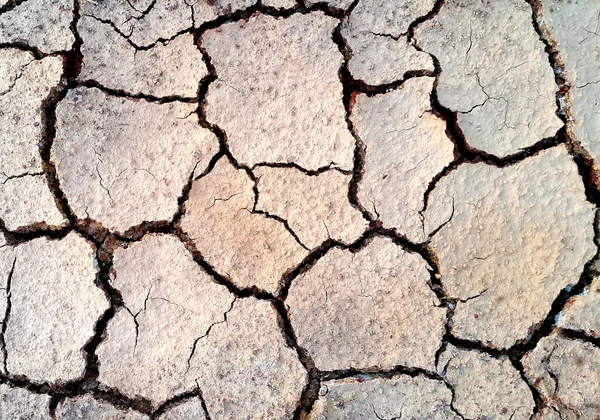 Suelo seco y agrietado — Foto de Stock